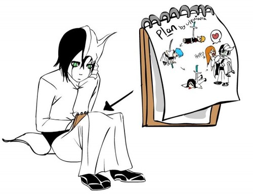 Plan Plan