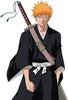 Ichigo ^^