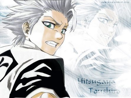 Hitsugaya Hitsugaya