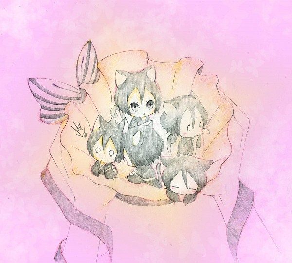 Neko Neko