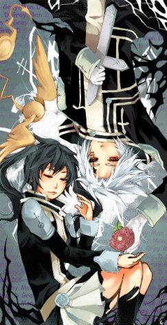 D_Gray_Man_Madness