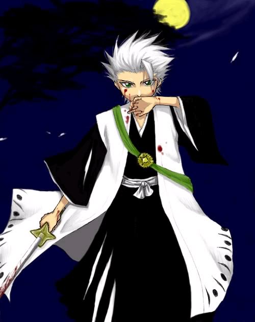 Hitsugaya po bitve