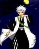 Hitsugaya po bitve