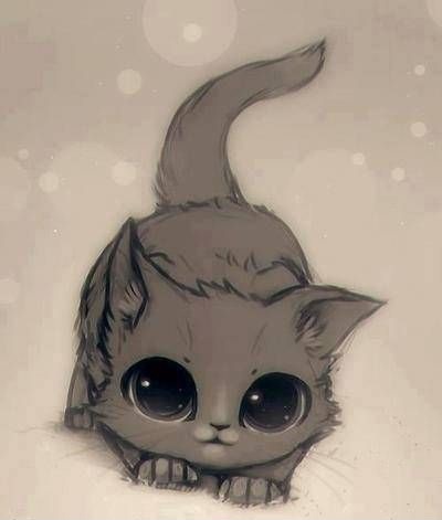 Sweet kitten Sweet kitten