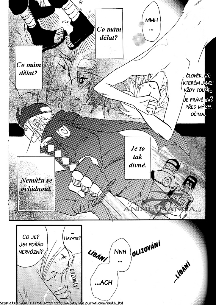 5547_Oneshot_AIICP_023.jpg