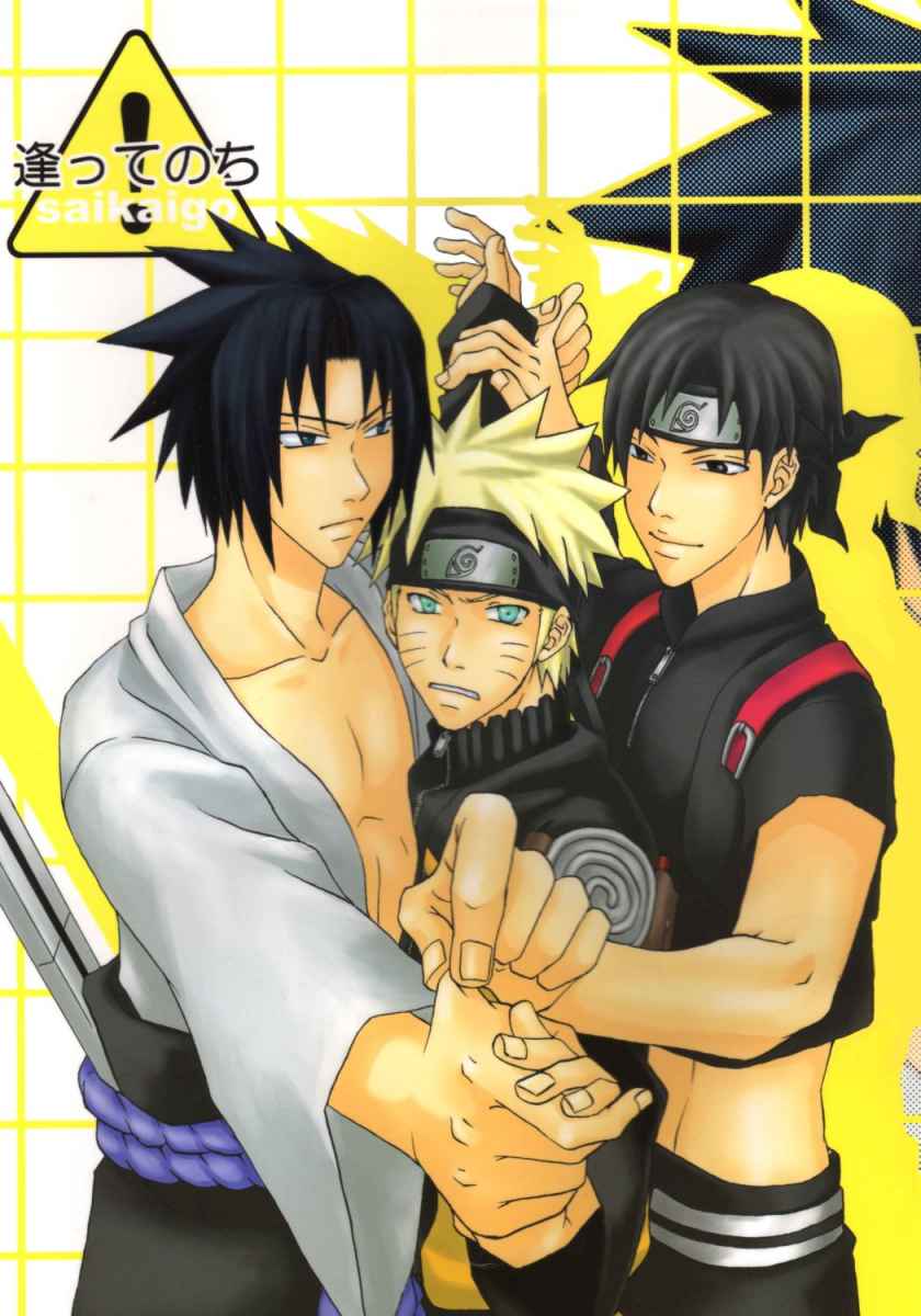 5554_Oneshot_NPDSS_cover..jpg
