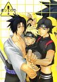 5554_Oneshot_NPDSS_cover.