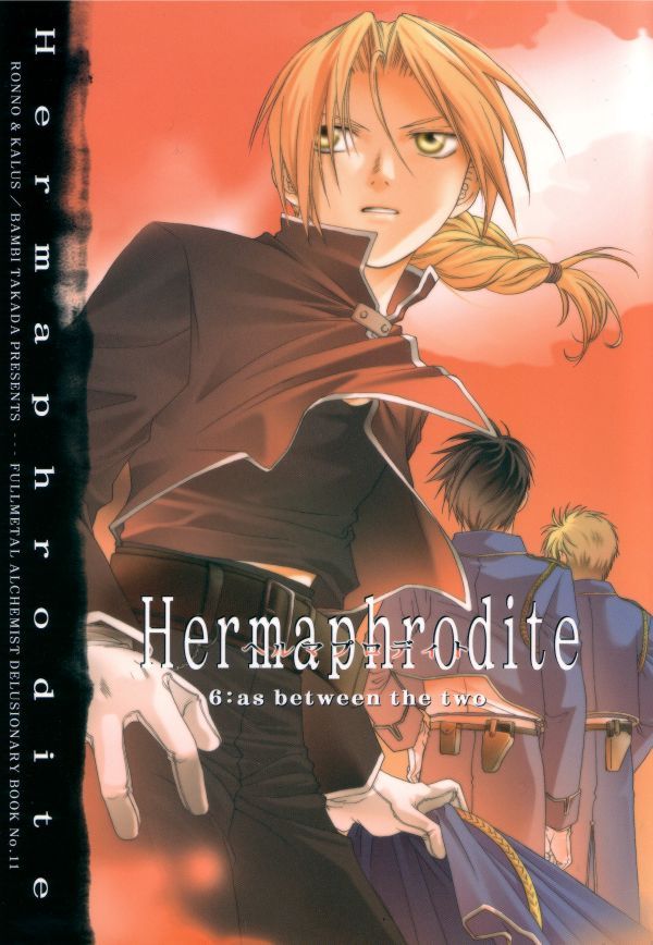 Herma6_t01.jpg