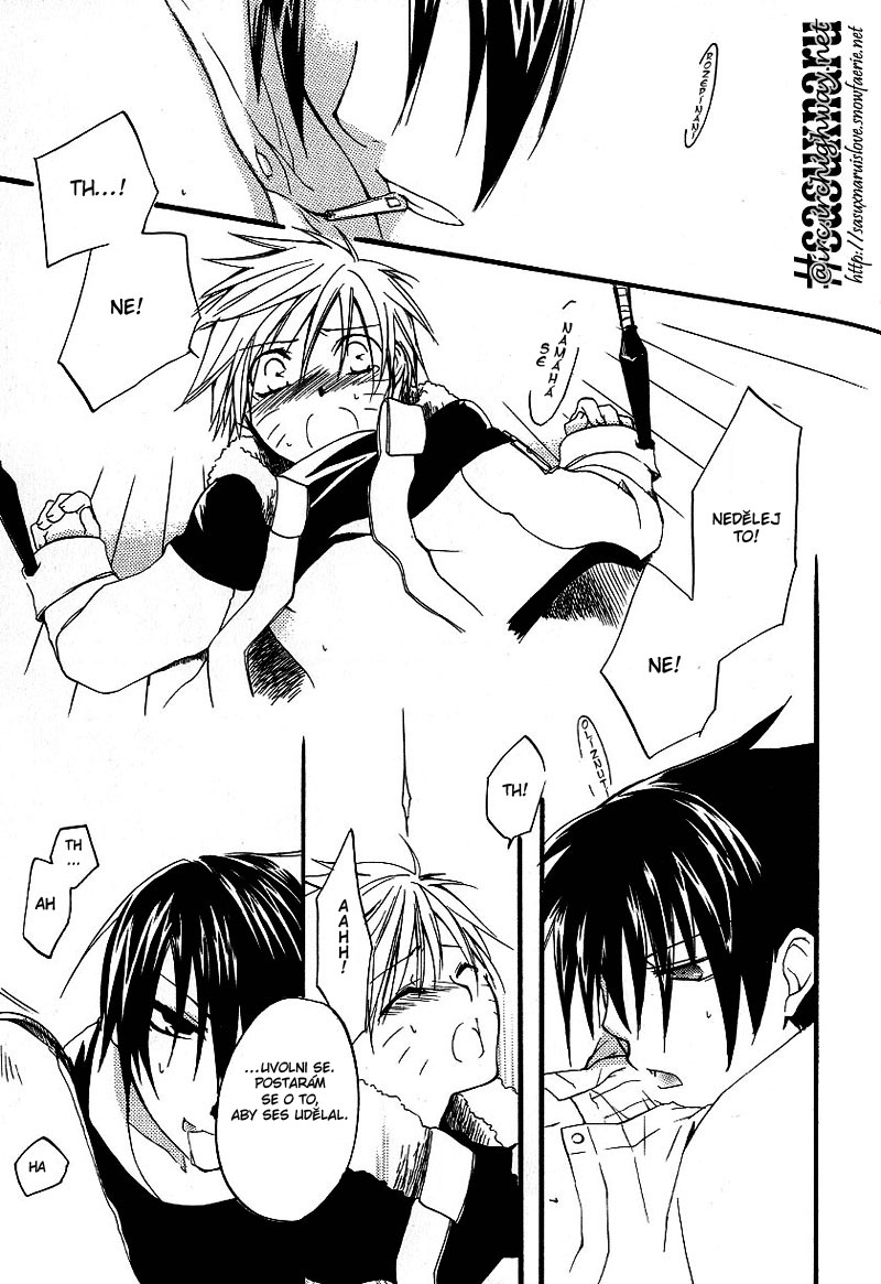 Love_Affair_CZ_p6.jpg