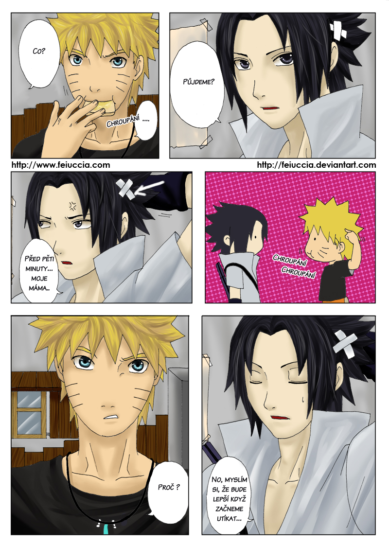 pag3.png