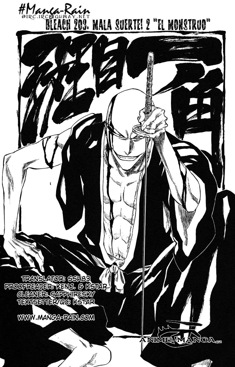 BLEACH-203-09.jpg