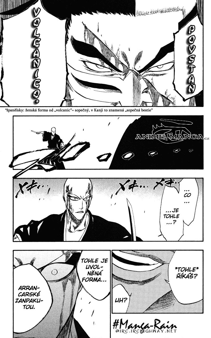 BLEACH-203-19.jpg