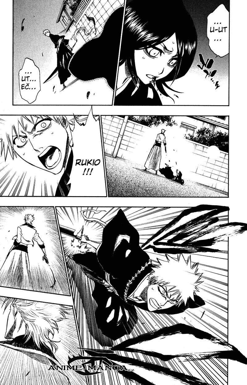 BLEACH-204-09.jpg