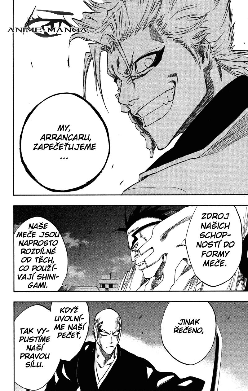 BLEACH-204-10.jpg