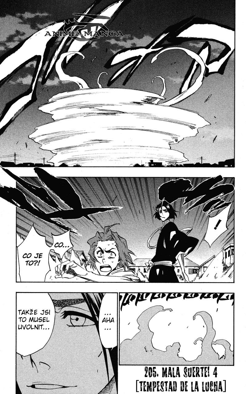 BLEACH-205-03.jpg