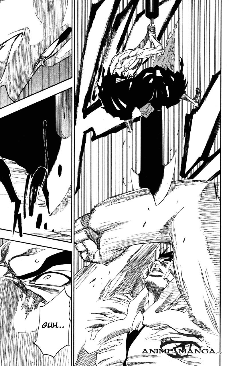 BLEACH-205-14.jpg