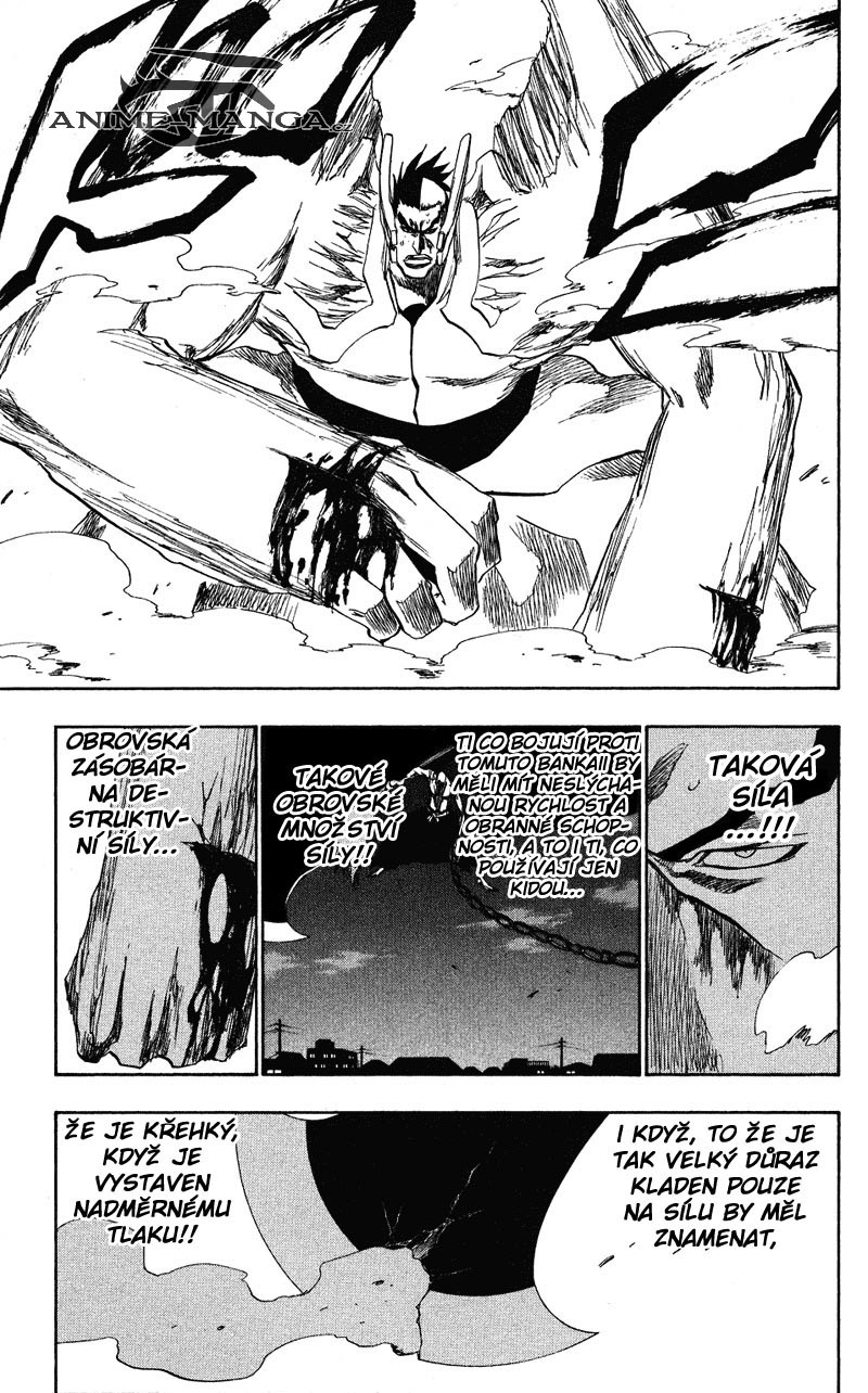BLEACH-205-16.jpg