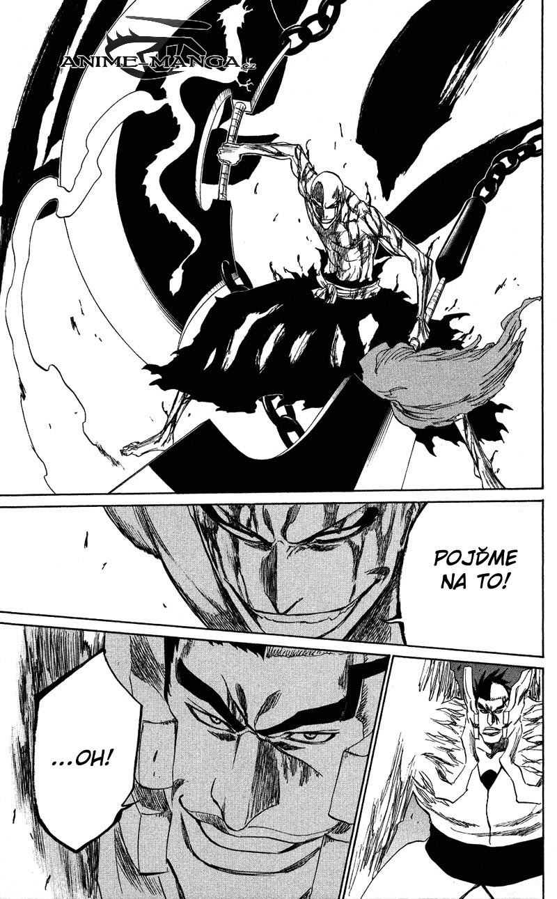 BLEACH-205-20.jpg