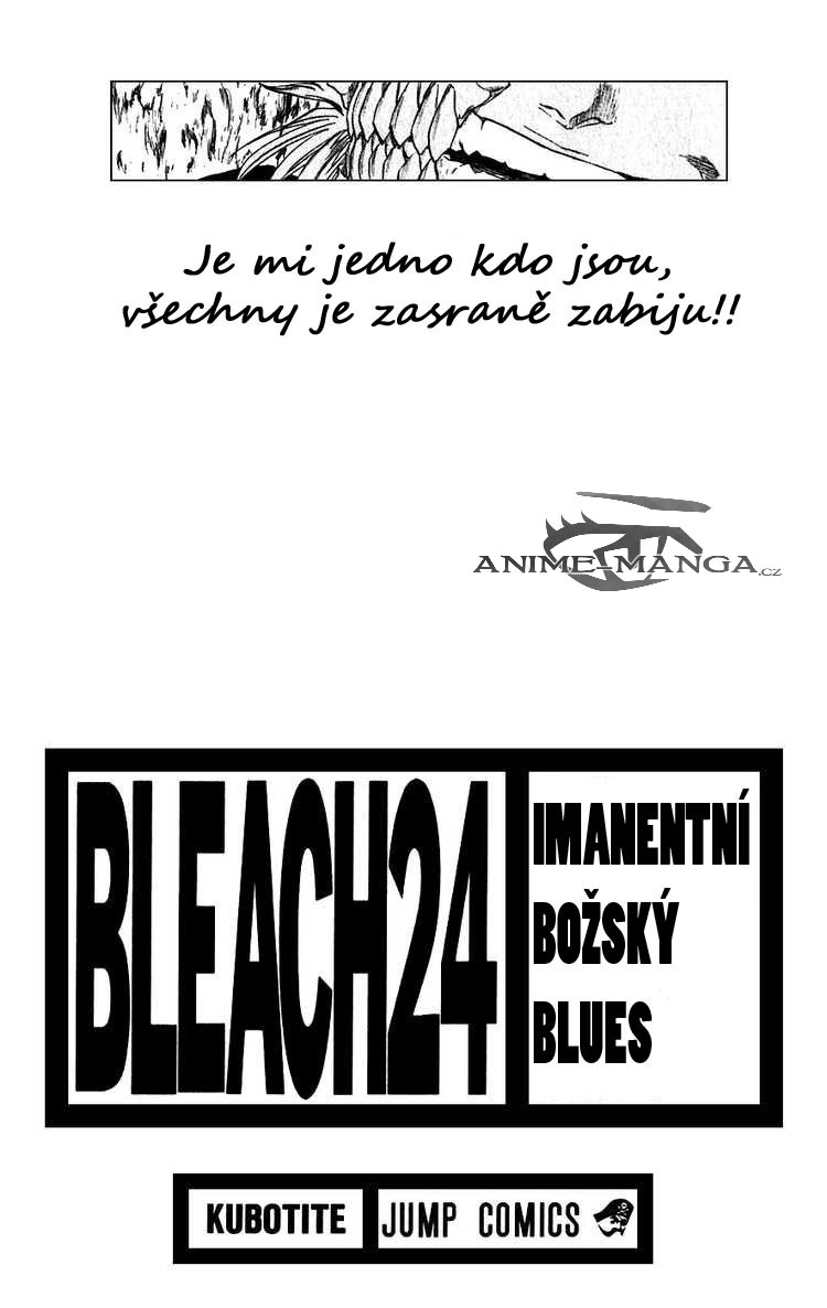 BLEACH-206-03.jpg