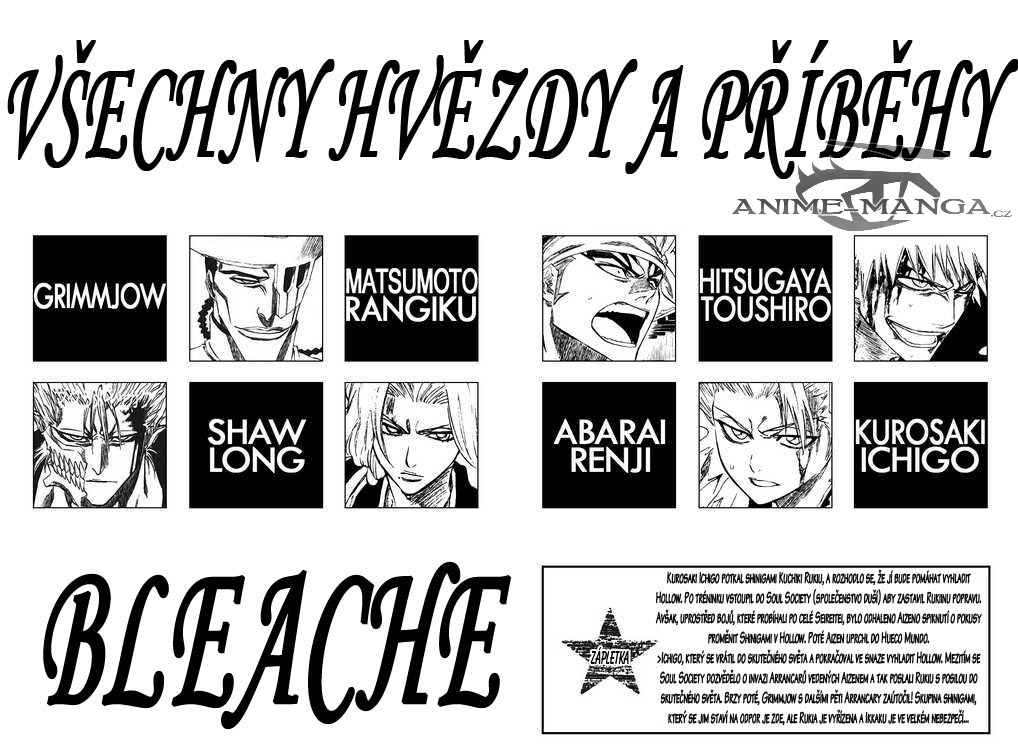 BLEACH-206-04.jpg