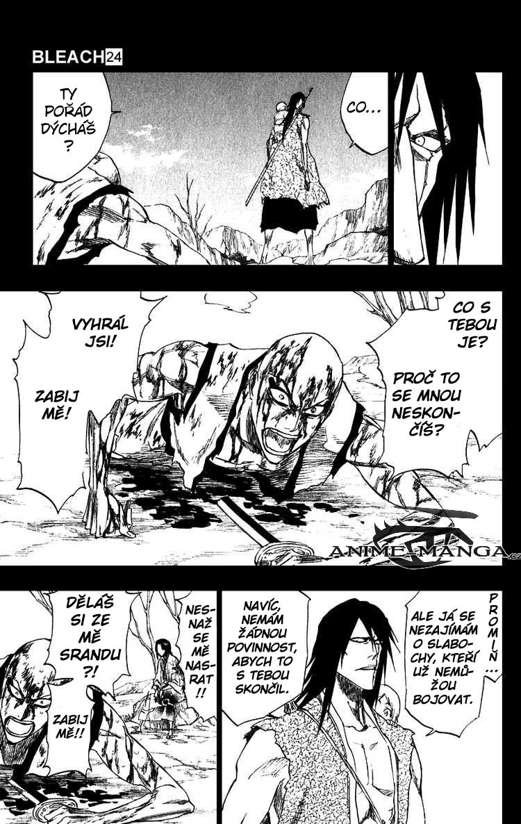 BLEACH-206-13.jpg