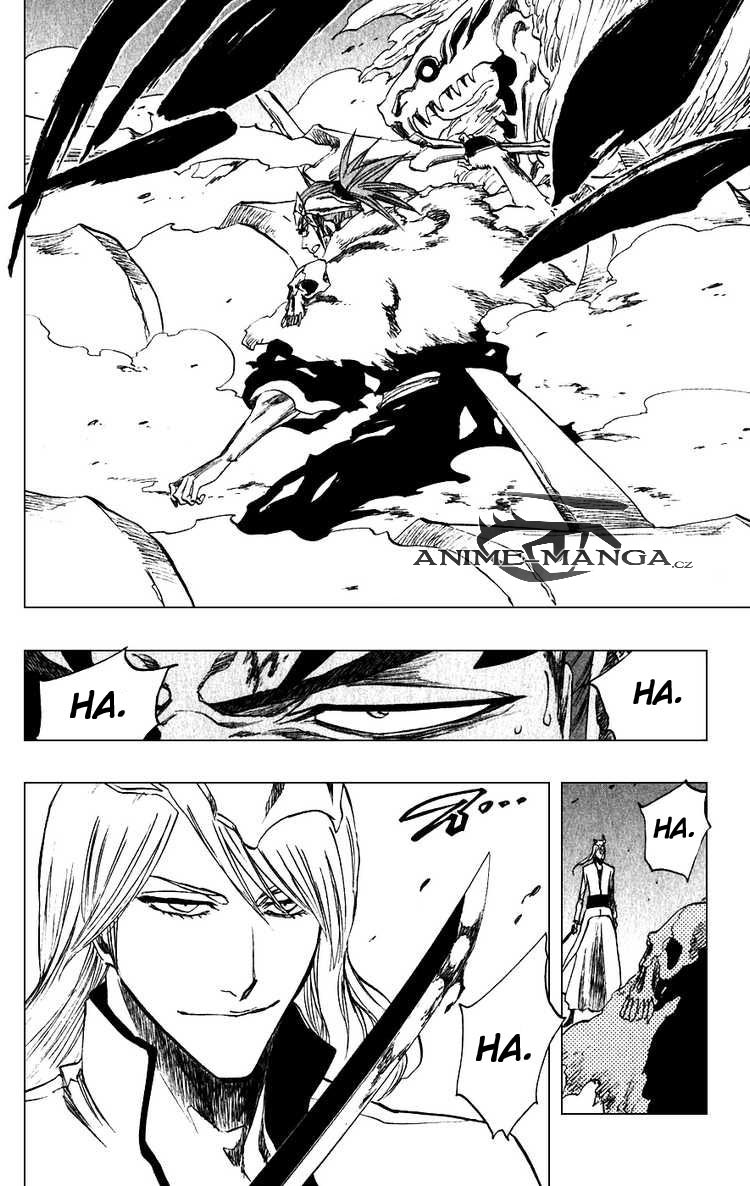 BLEACH-206-24.jpg