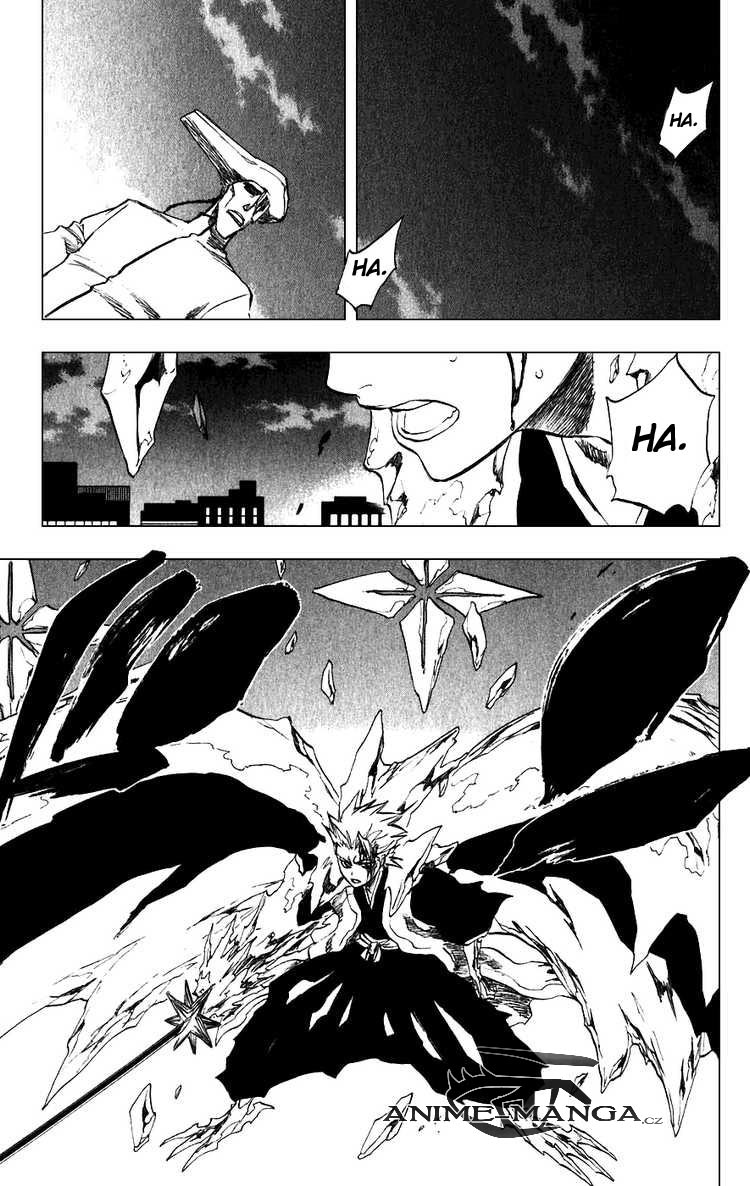 BLEACH-206-25.jpg