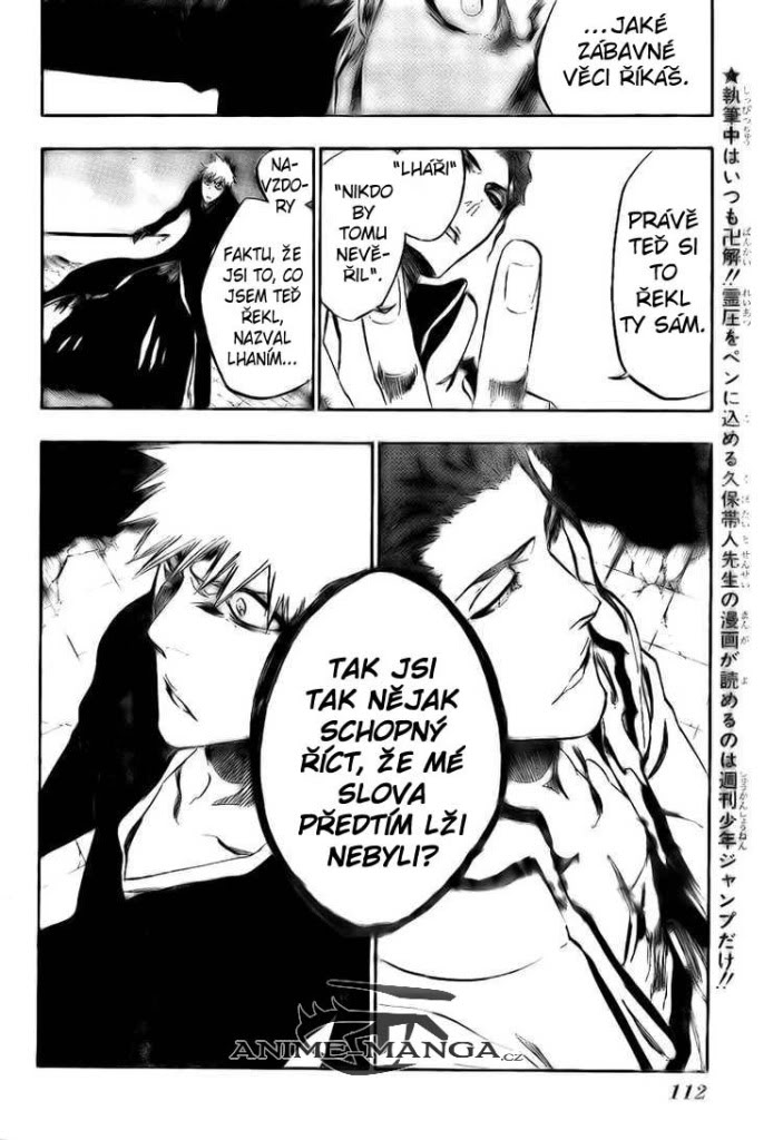 BLEACH-397-12.jpg