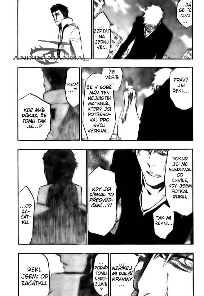 BLEACH-397-15.jpg