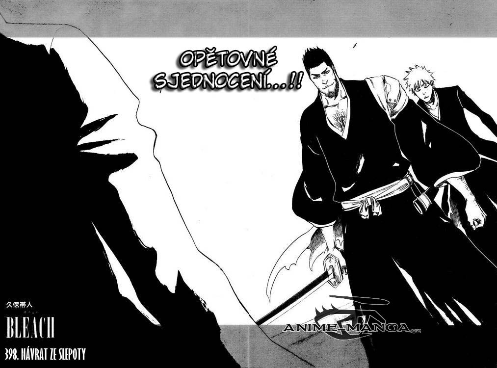 BLEACH-398-02.jpg