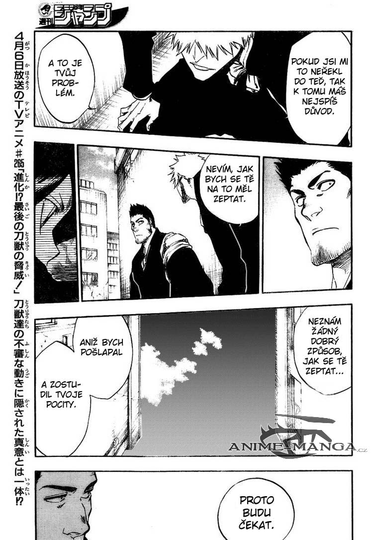BLEACH-398-10.jpg