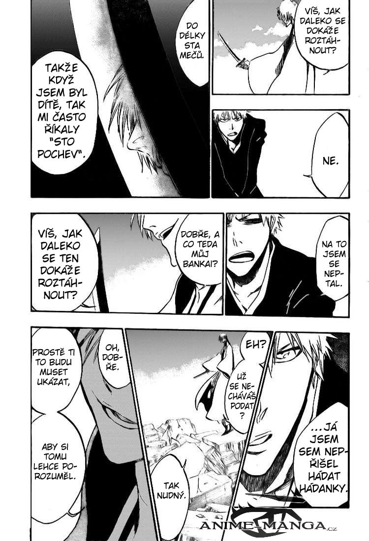 BLEACH-399-10.jpg