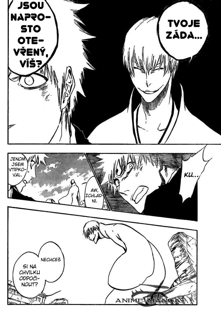 BLEACH-404-10.jpg