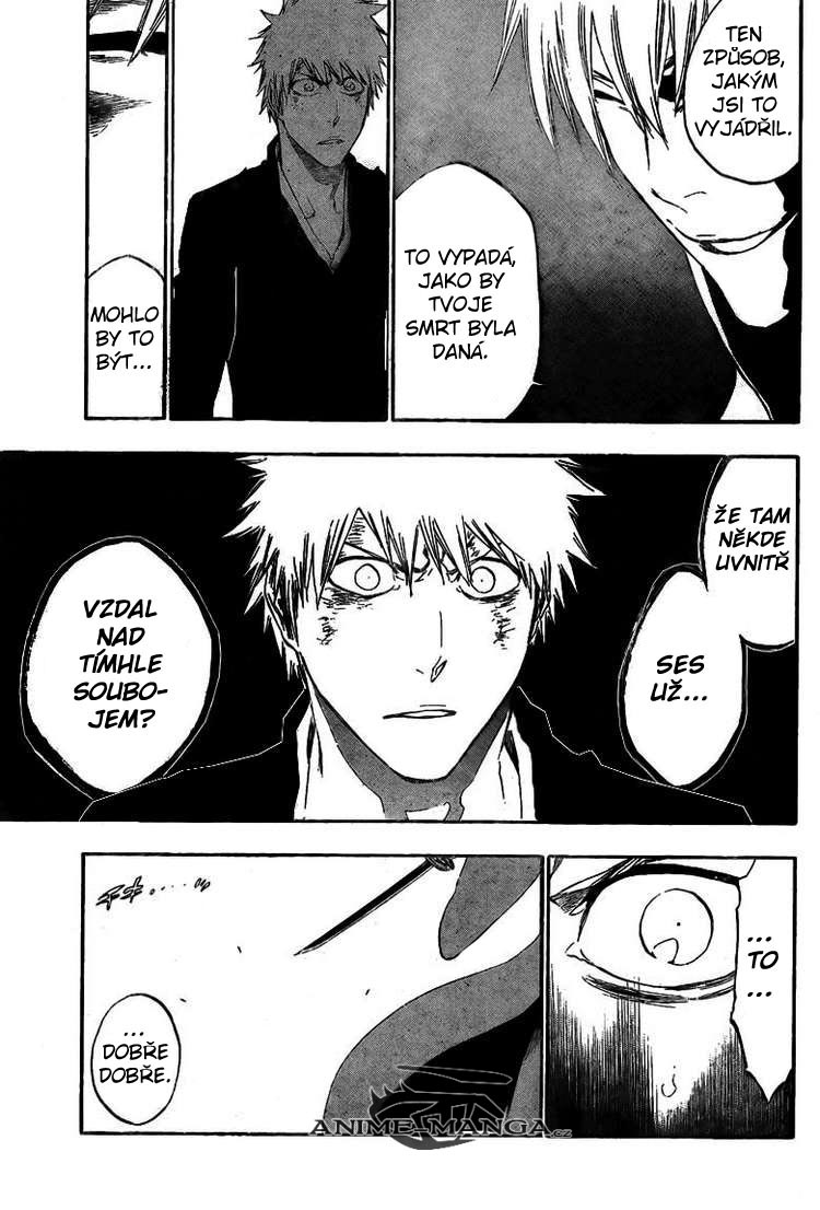 BLEACH-404-13.jpg