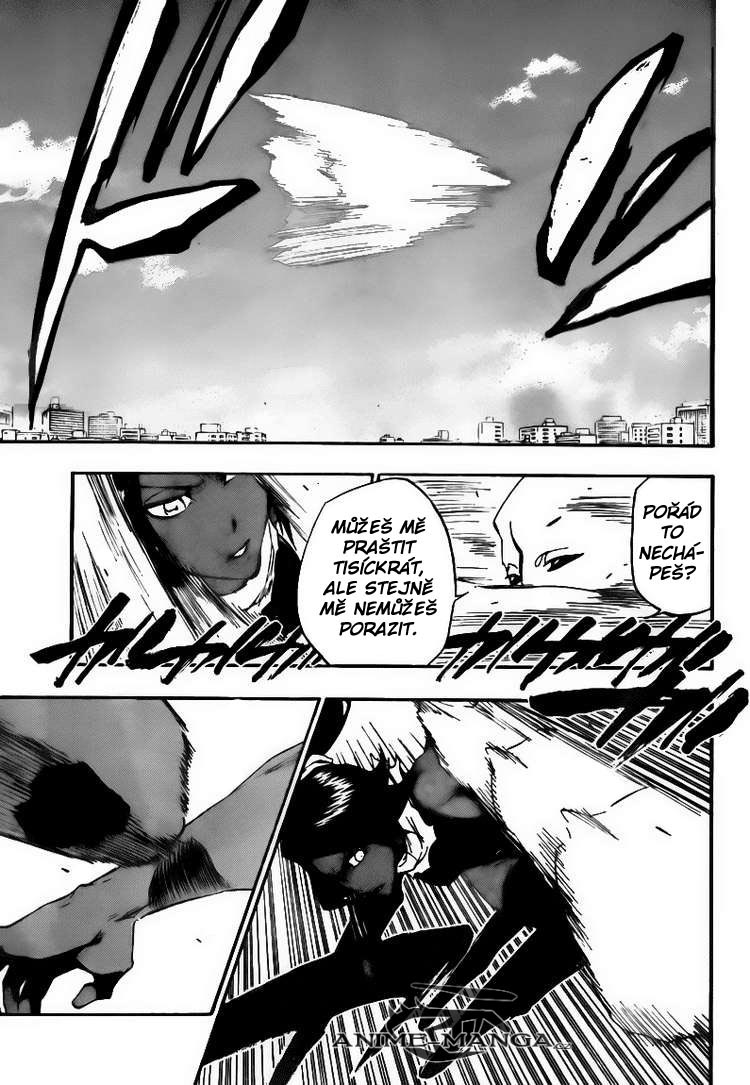 BLEACH-405-11.jpg