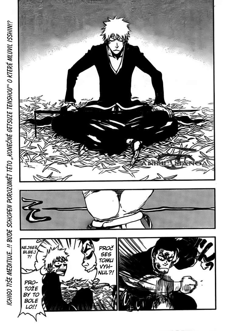 BLEACH-408-01.jpg