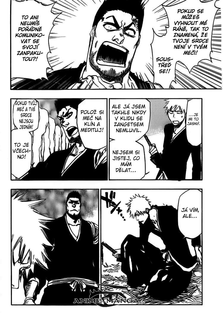 BLEACH-408-02.jpg