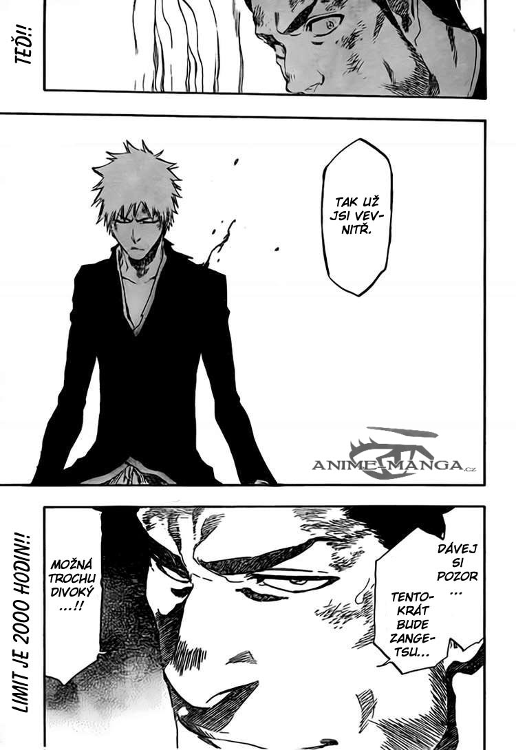 BLEACH-408-19.jpg