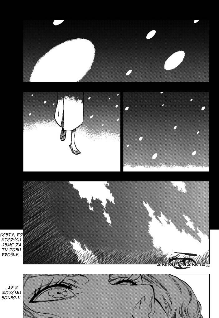 bleach-ch416-03.jpg