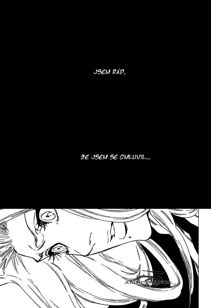 bleach-ch416-15.jpg