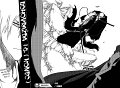 bleach-ch416-18+19