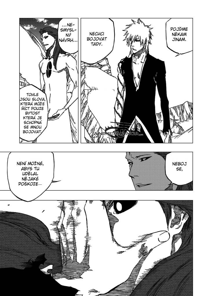 bleach-ch417-15.jpg