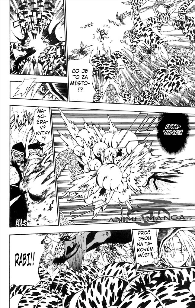 DGM33_12.jpg