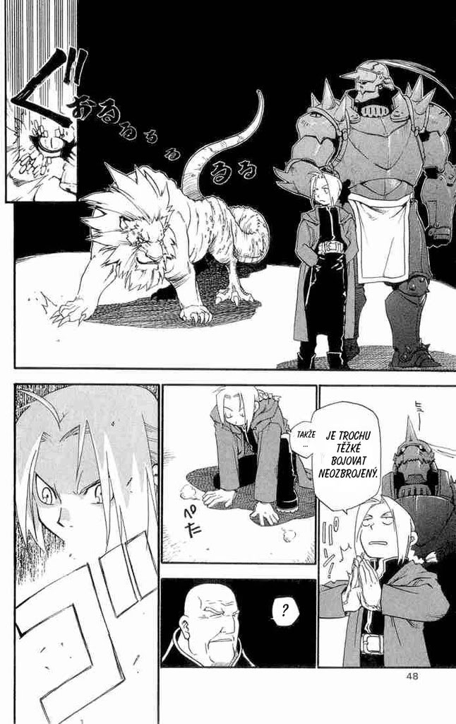 FMA01_42.jpg