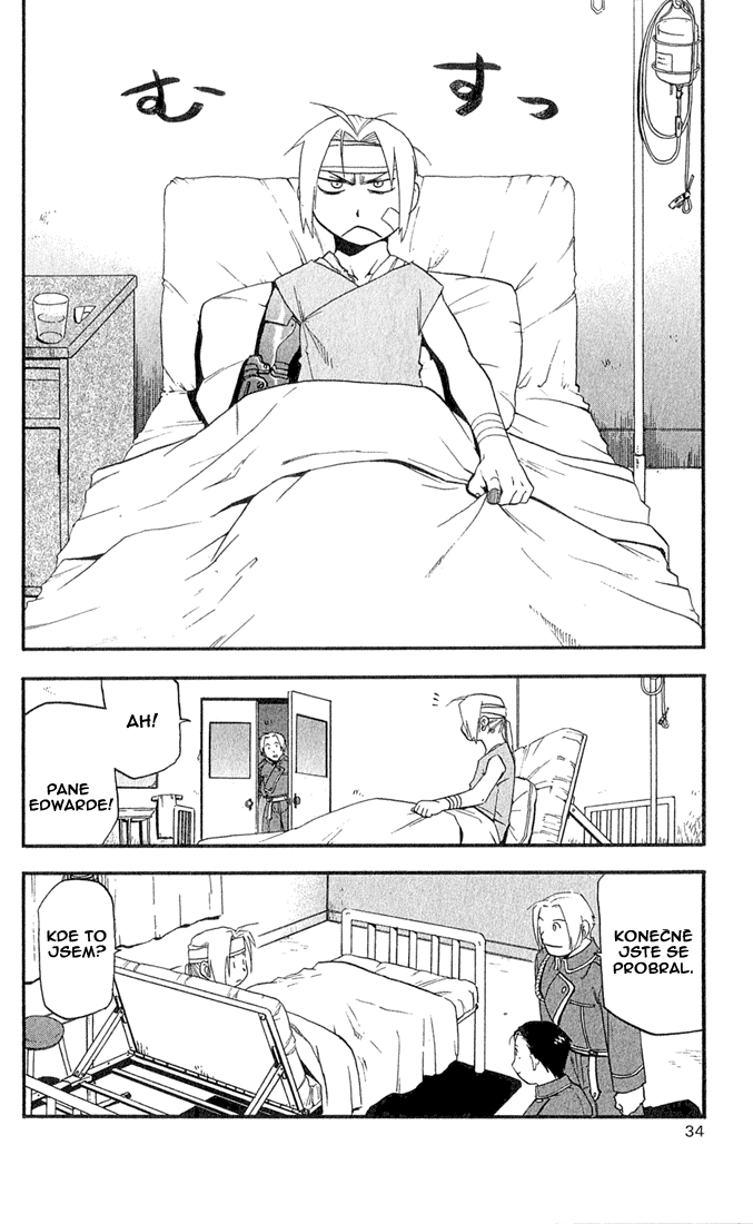 fma-13-29.png