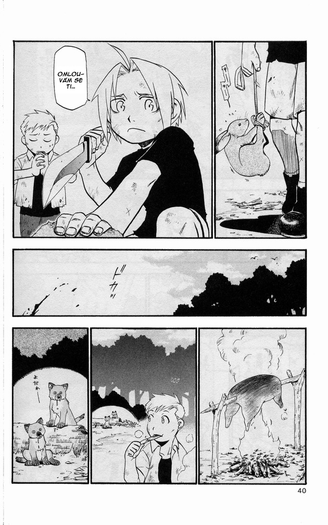 fma_v06c022p035.jpg
