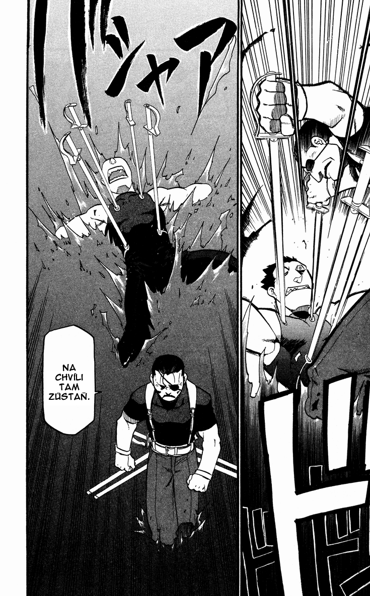 fma_v08c030p020.png