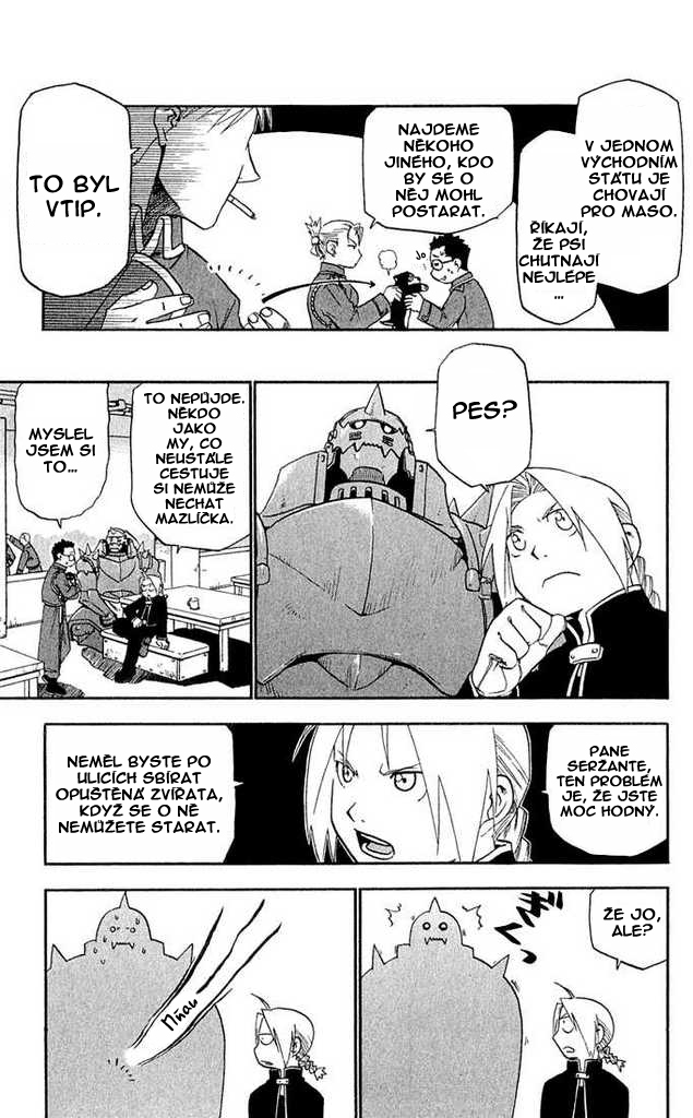 fma-dmgaiden-05.jpg