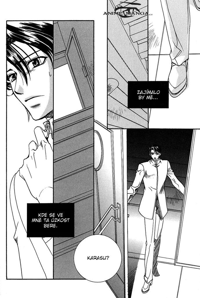 Innocent_Bird_v02_c05_024.png