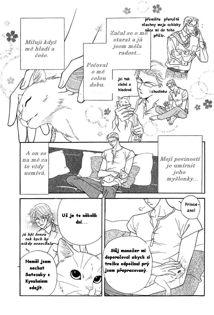 03.jpg